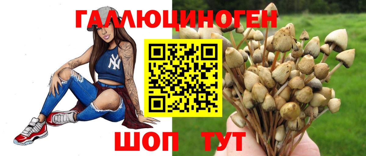 Галлюциногенные грибы прущие грибы  Вход с VPN  Тосно 