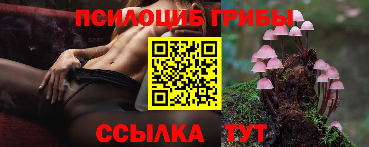 Псилоцибиновые грибы мицелий Тосно